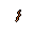 worm